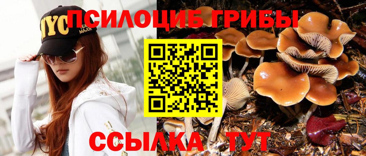 Псилоцибиновые грибы мухоморы  Вход с VPN  Тобольск 