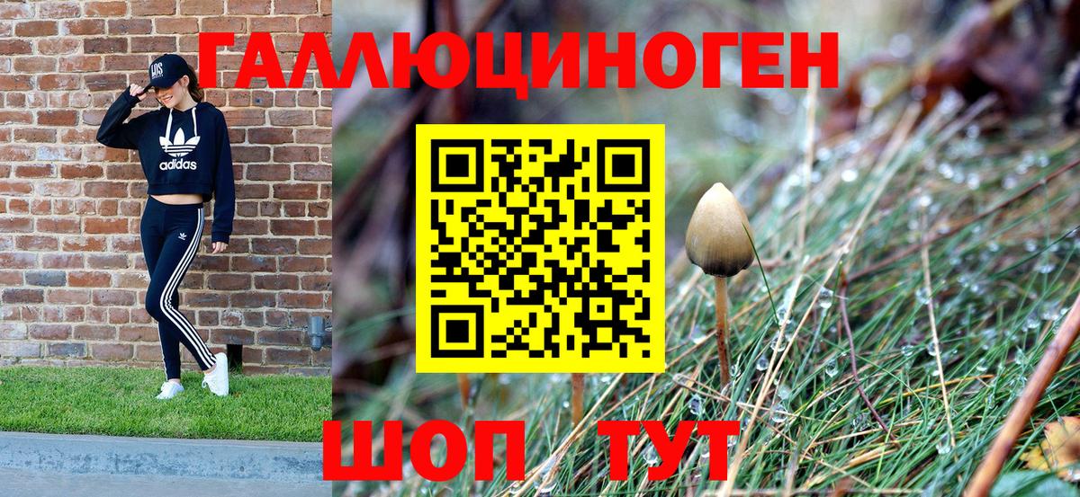 Галлюциногенные грибы Magic Shrooms Тобольск